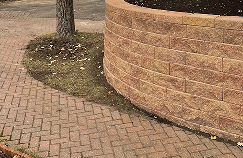 Brick retaining wall and harringbone brick sidewalk