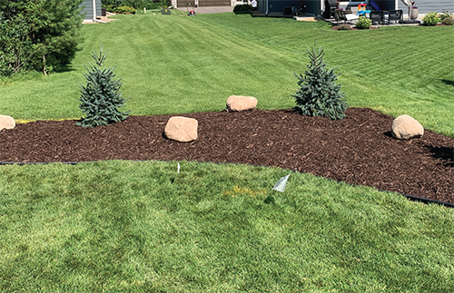 Green yard with circular flower bed, freshly laid mulch