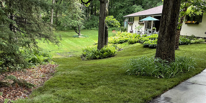 Landscaping-Services-Signature-Lawns Lush green yard with mature trees and decorative grasses around the trunks