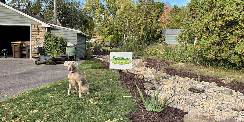 Rock-and-Mulch-Signature-Lawns Another beautiful stone and mulch flower bed project by Signature Lawns