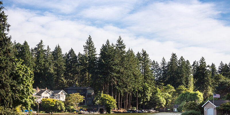Shoreline-Restoration-Signature-Lawn a mid lake view of shoreline restoration